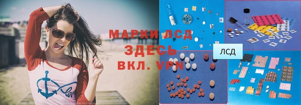 индика Балабаново
