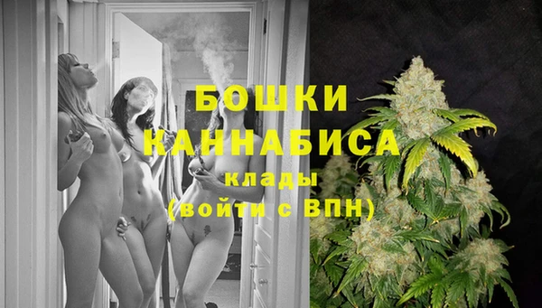 прущие крисы Аркадак
