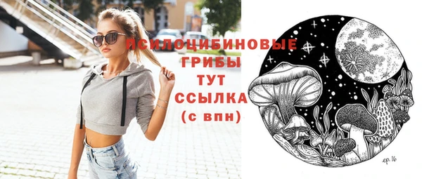 кокс Арсеньев