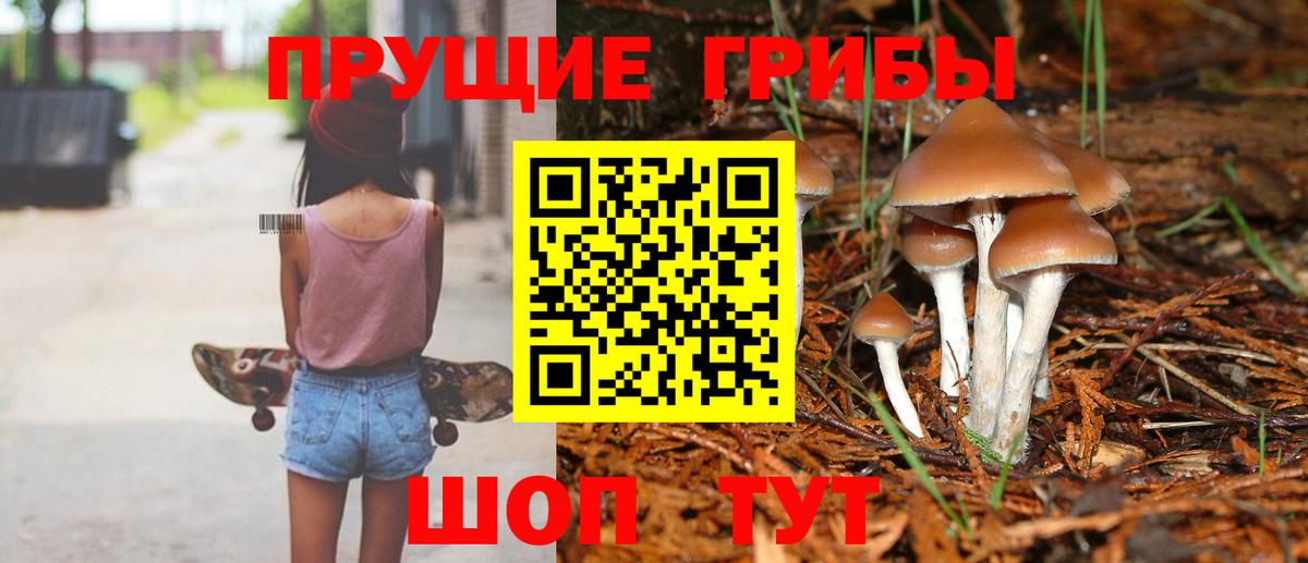 Псилоцибиновые грибы Psilocybe  Вход с VPN  Тамбов 